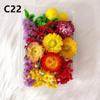 Kit DIY Fleur Éternelle: Cadre photo de fleurs séchées, éventail rond, bouteille flottante, composition florale réelle pour la décoration du salon ou de la maternelle.
