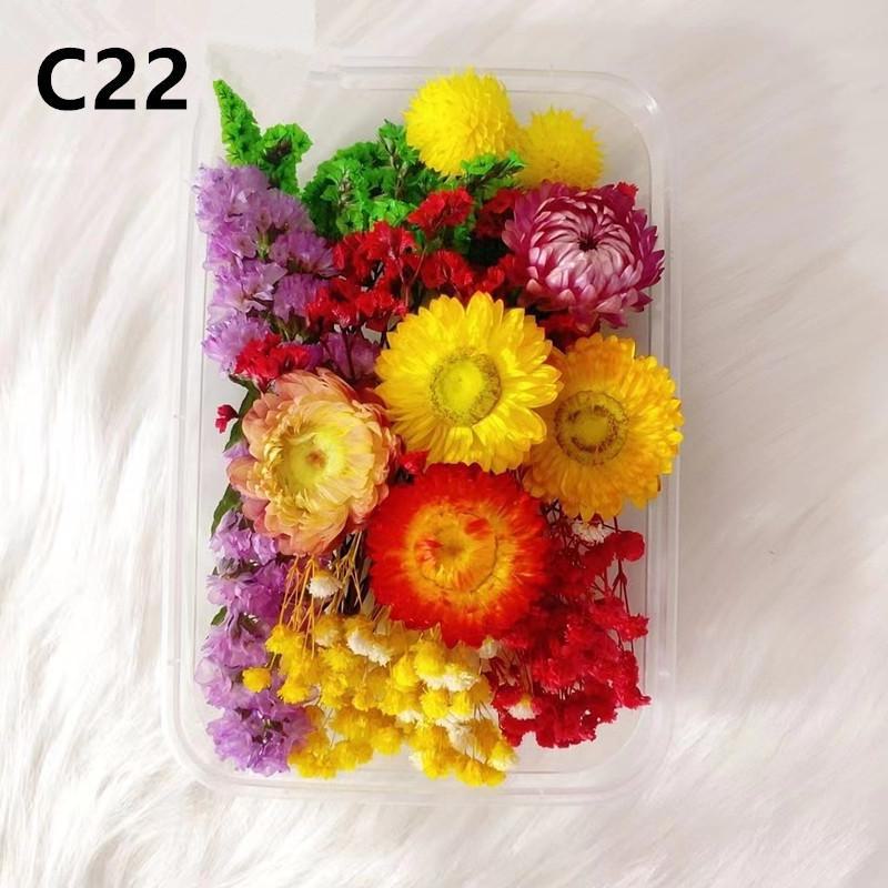 Kit DIY Fleur Éternelle: Cadre photo de fleurs séchées, éventail rond, bouteille flottante, composition florale réelle pour la décoration du salon ou de la maternelle.