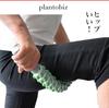 plantobiz Myofascial Release Flexible Stick Roller Cellulite Roller Lymphatic Massage Stick for Calf and Buttock Swelling Blue and Length Weight 640g