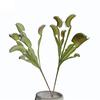Practical Imitation Plant Non-fading Eco-friendly Create Vitality