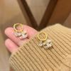 Silver Needle 18K Gold-Plated Zirconia Flower Stud Earrings - Luxurious, Fashionable, and Versatile Accessory.