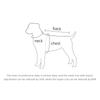Reflective Dog Vest For Walking At Night Waterproof Dog Coat Winter Dog Clothes Jacket Pet Dog Coat With Harness