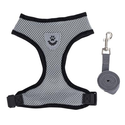 Chiens – Colliers et laisses pour chiens