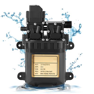 Pompa a membrana portatile a doppio motore da 12 V, pressostato incorporato, pressione 1,1 MPa, pressione 8,0 LPM