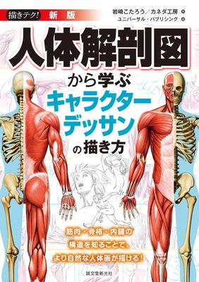 New How To Draw Characters Based On Human Understanding the Structure of and Internal Organs Will Help You Draw More Human Edition Anatomy Muscles,