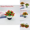 Artificial Fruit Plant Decor With Plastic Material For Home And Event Use