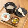 Skater Microwave Steam Rice Maker Black Made In Japan MWMR1-A