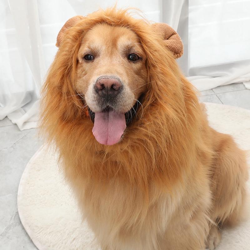 Halloween Lion Mane Dog Wig Hat for Dogs and Cat Small Large Dogs Pet Cat Decor Accessories Lion Wig Fancy Hair Cap Pet Supplies