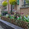 Willow Woven Garden Fence: Small Edging for Indoor/Outdoor Flower Beds, Lawns, Nurseries, Balconies, Courtyards.