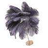 Ostrich Feather Table Lamp Rechargeable Modern Romantic Decoration Lamp Bedroom Bedside Lamp for