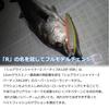 Daiwa Shoreline Shiner Z Vertis R R125F-SSR