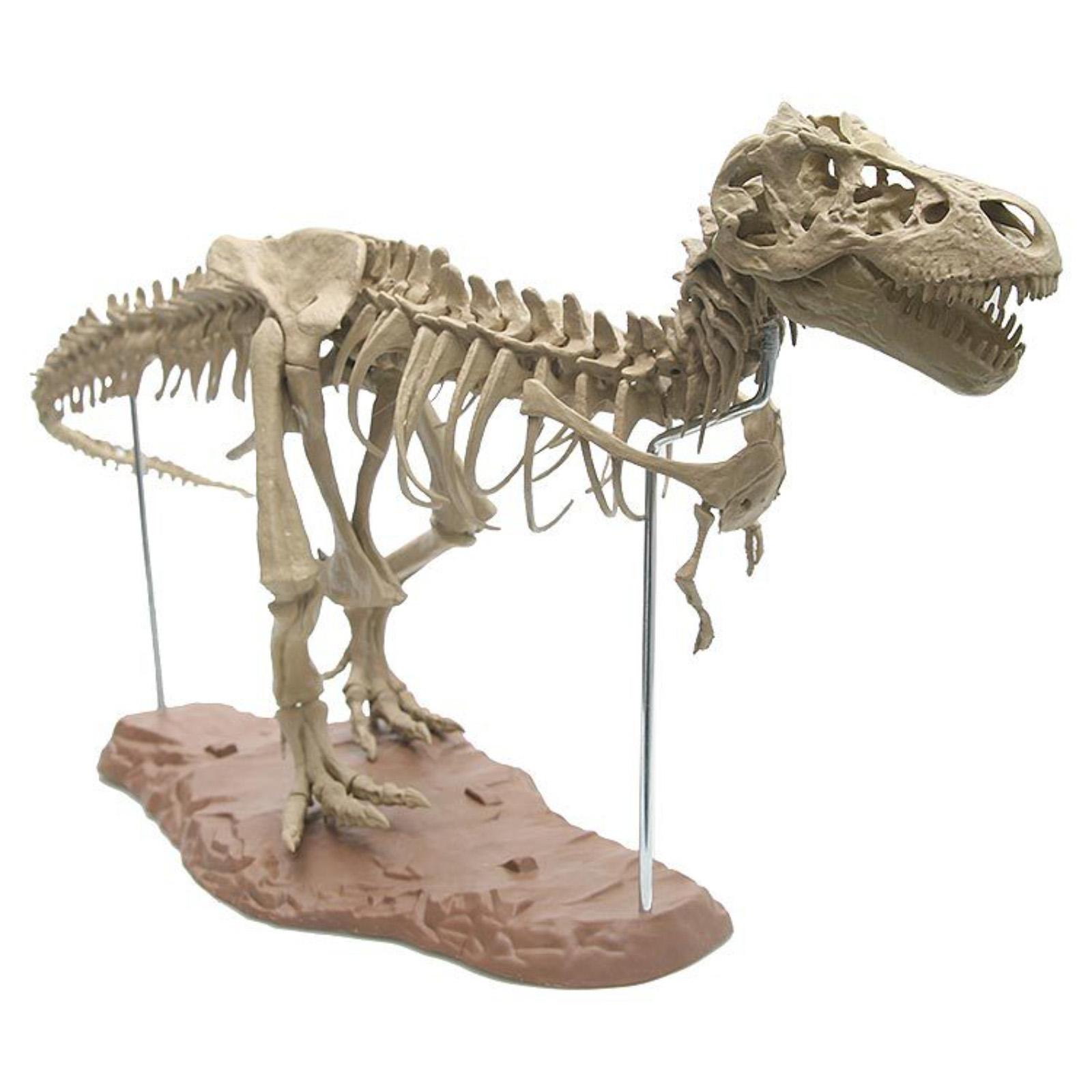 

10ml Dinosaur Skeleton Resin Crafts Personalized Desktop Ornaments One Size