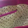 Kate Spade Diagonal 2WAY Shoulder Bag Pink Purple Women Used