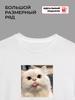 Maglietta con un meme di gatto