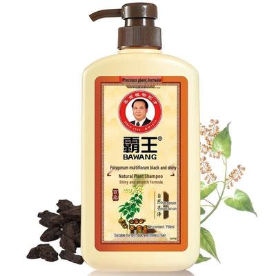 Bawang He Shou Wu Black & Bright Plant Shampoo