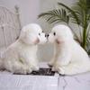 Pets Fluffy Maltese Plush Toy Stuffed Animal Puppy Dog Plush Maltese Stuffed Dog  Children Toy
