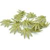 MOC Coconut palm leaves Accessories DIY City Bricks Leaves Building Blocks Set Plant Tree Grass Flower leaf Garden Scene