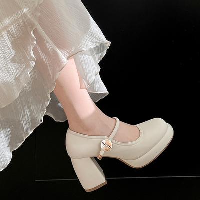 Fashion Temperament White Platform Thick Heel High Heels Women's 2025 New Spring and Autumn Skirt French Mary Jane Single Shoes