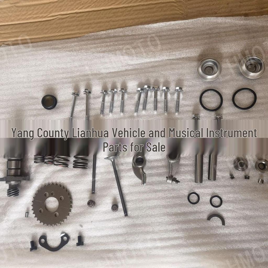 Suzuki GN125 EN125 Motorrad Zylinderkopf Nockenwelle Kipphebel Ventil Zubehör