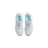 Nike Air Zoom Arcadia Low Top Kids' Running Shoes Gray Blue Children Aged 3 7 Years Old CK0714-014