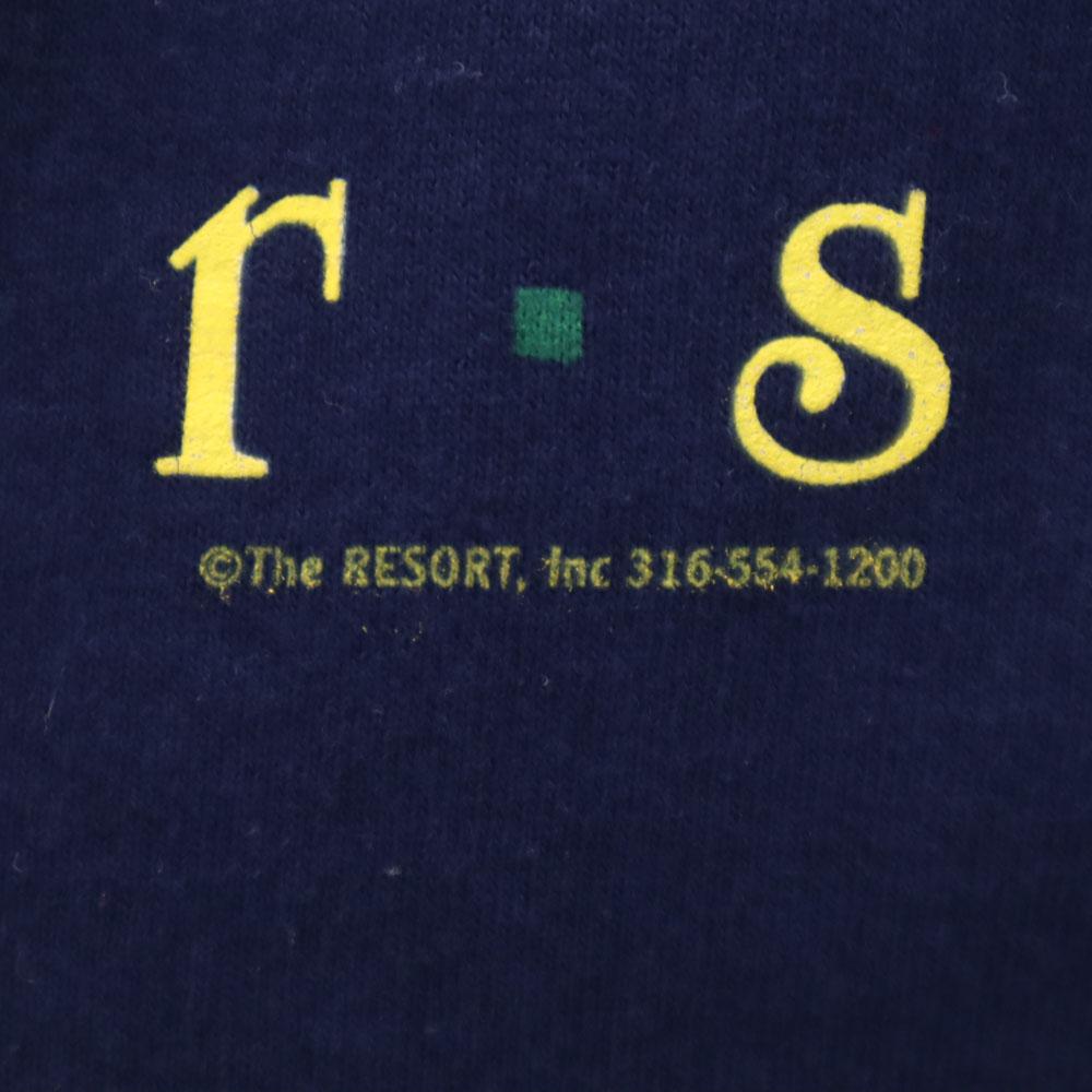 FRUIT OF THE LOOM 90s Made In USA Print Short Sleeve KANSAS Sunflower T-shirt Men's Used