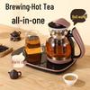 Shangqi Multi-functional Health Kettle & Tea Maker with Warmer