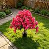 Realistisches Heim-Ornament Künstlicher Bougainvillea-Kugelbaum, Kunstseidenblumen mit Erdspieß, UV-beständige Blumen für die Haustür