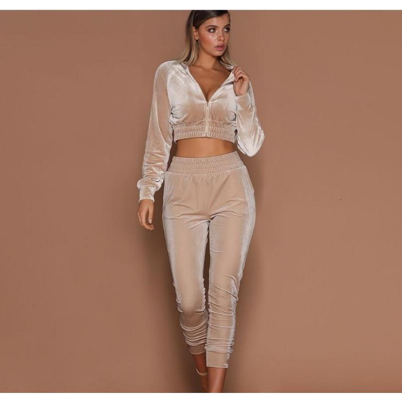 

Повседневный однотонный комплект из 2 предметов с застежкой-молнией и круглым вырезом, женские модные уличные комплекты из бархата из двух предметов, женские брюки, облегающие женские спортивные комплекты из брюк 2543 XL абрикосовый