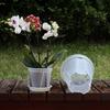 Breathable Flower Pot Transparent PP Planter for Orchids Caladiums Self-Watering Aerating Sun Resistant Flowerpot for Home Garden
