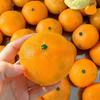 Simulated Tangerine Stress Ball Soft Squeeze Sensory Toy DIY Handmade Non-Toxic for Kids Adults Anxiety Stress Relief
