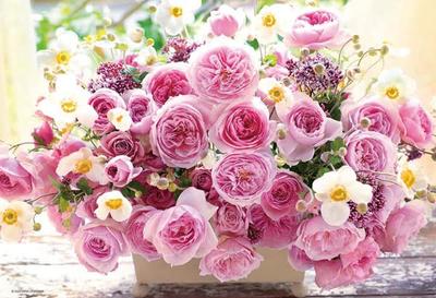 Beverly 300 Parçalı Yapboz Primavera x [Japon Malı] (26 38cm) 93-169