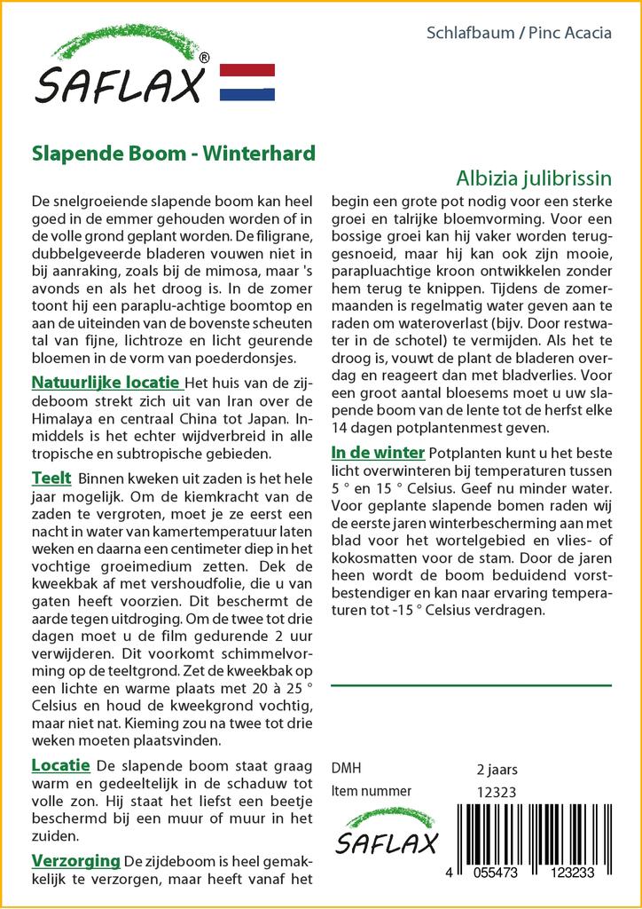 SAFLAX Pinc Akazie - 50 Samen - Albizia julibrissin
