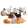 10 Pz Gatto Colorato Creativo Paesaggistico Bambola Miniature Giardino in Miniatura Figurine Decorazioni per la Casa