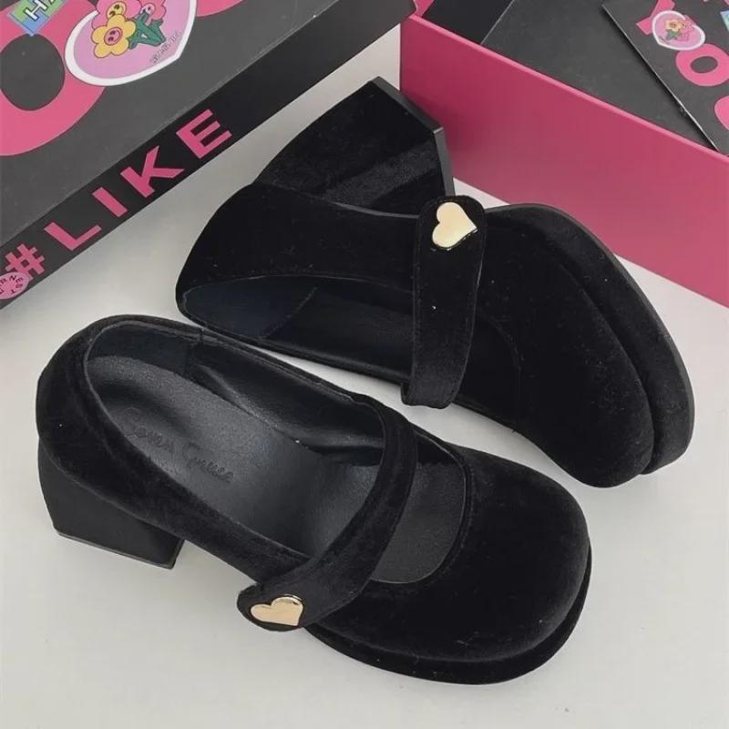 WD2025 Retro French-Style Thick-Heeled Mary Jane Leather Shoes for Women