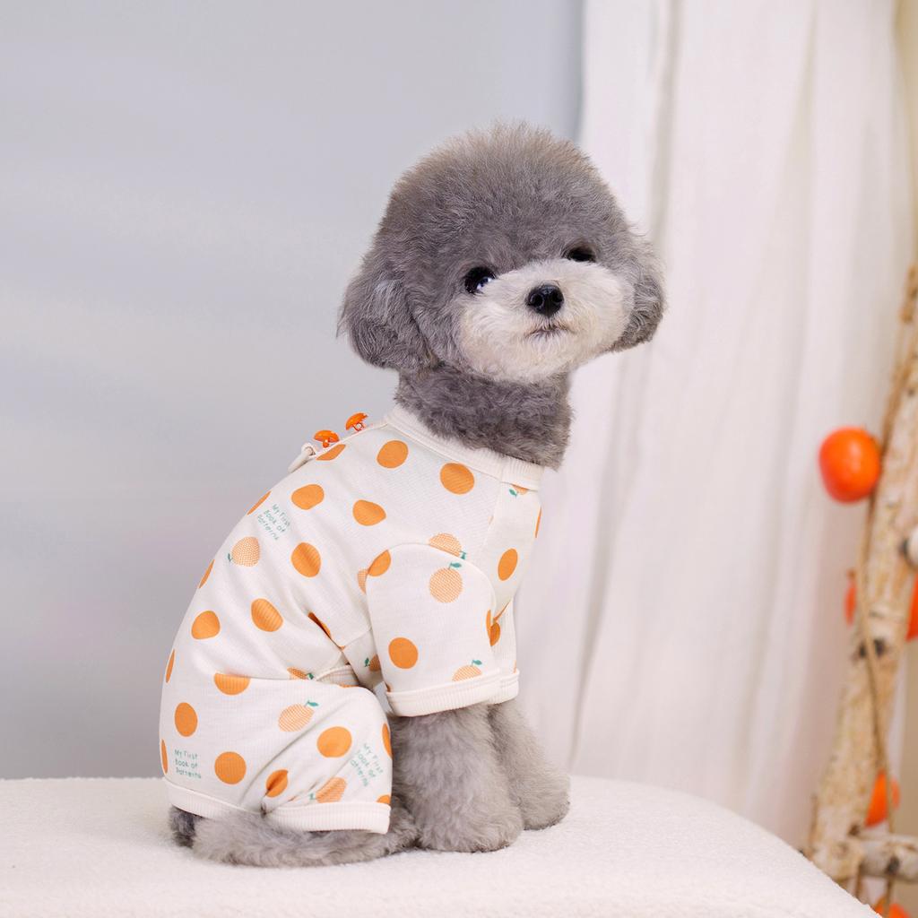 Pet Cat Clothes Spring Pet Surgical Clothes Cat Neuter Clothes Big Dot Home Small Teddy Casual Skirt