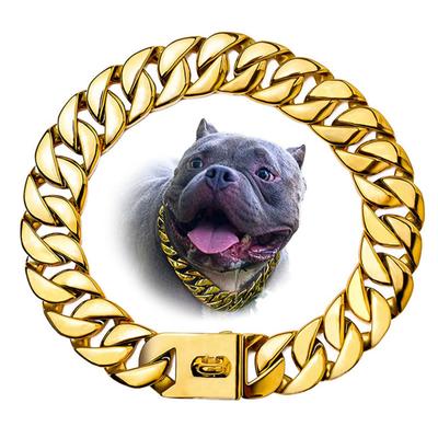 Cães – Colares e correias para cães