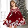 Girl Casual 3D Snowflake Print Round Neck Long Sleeve Dress Kid Princess Dress