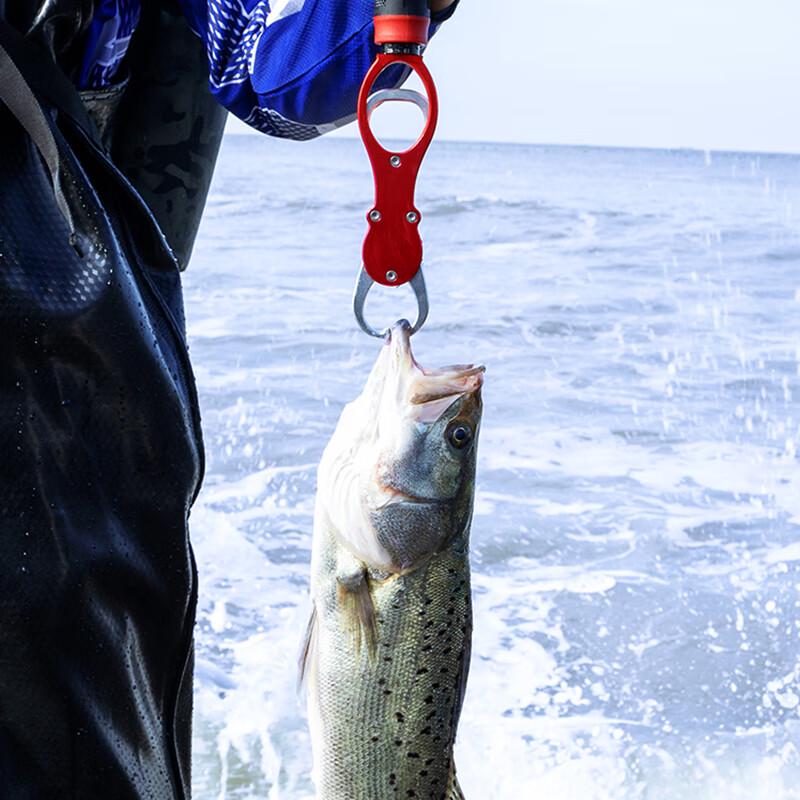 Grsaed Aluminum Fish Lip Gripper with Scale and Lanyard