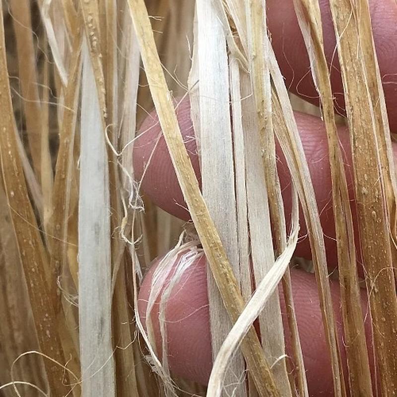 

Plumbing Hemp Thread Sealant