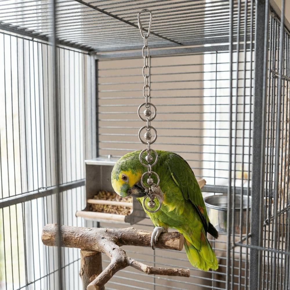 Stainless Steel Hanging Molar Toy Wear-resistant Bird Cage Toy Parrot Gnaw Toy Development Puzzle