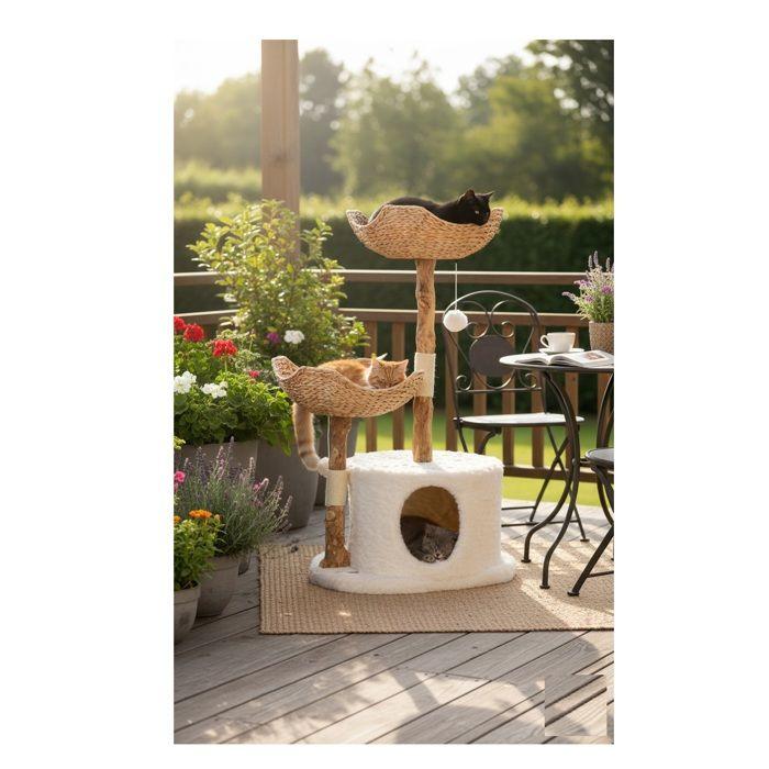 Arbre à chat - EDEN - Hector - Bois de caféier - Coussins amovibles - Grattoir en jute