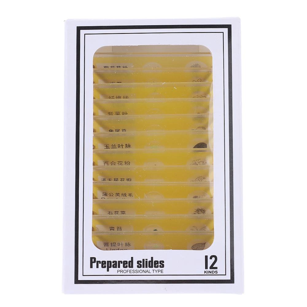 Plastic Microscope Slides Sample Specimens Animals Insects Plants Flowers Microscope Sample Prepared Slides Multicolor