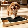 Köpek – Köpek bakım ürünleri