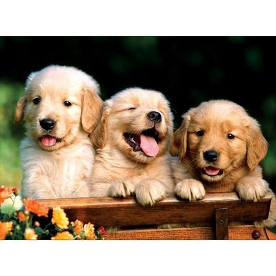 BN Puzzle Eternal Friend Jigsaw Puzzle 150-03, Mixed Colors, 150 Pieces