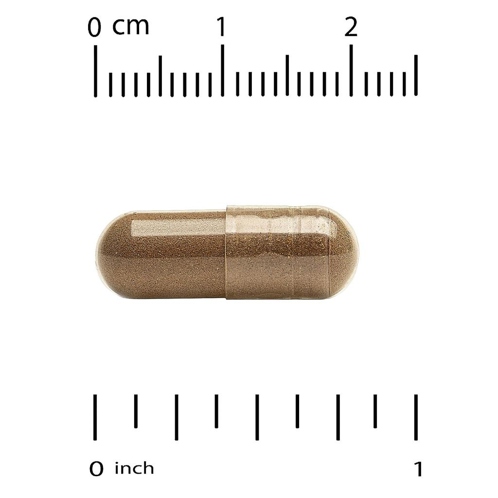 Super Nutrition, Organic Deer Antler Mushroom + Ginger, 60 Veggie Capsules