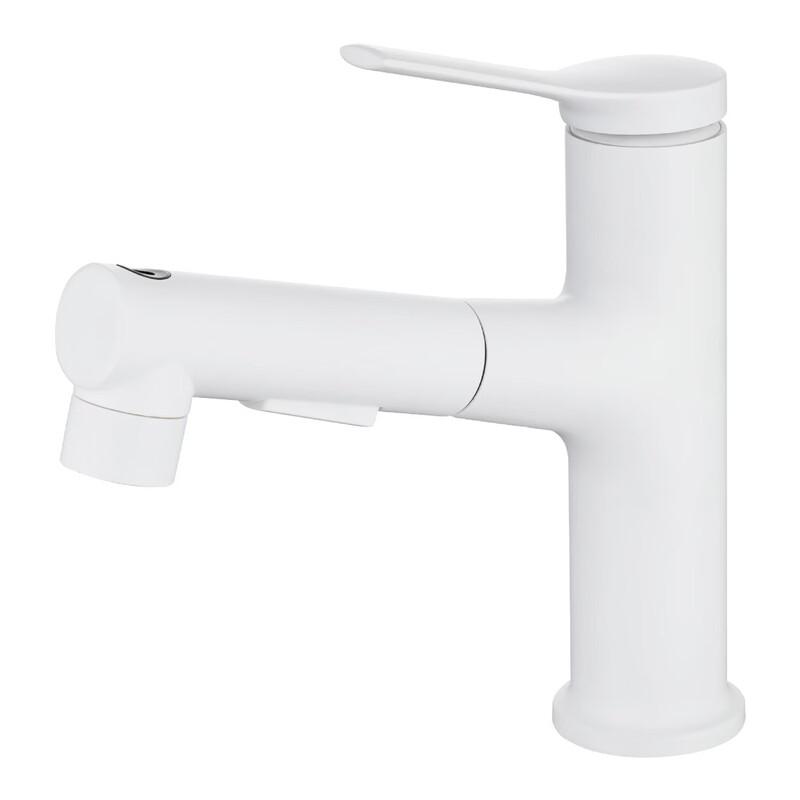 Multifunctional Pull-Out Hot & Cold Basin Faucet