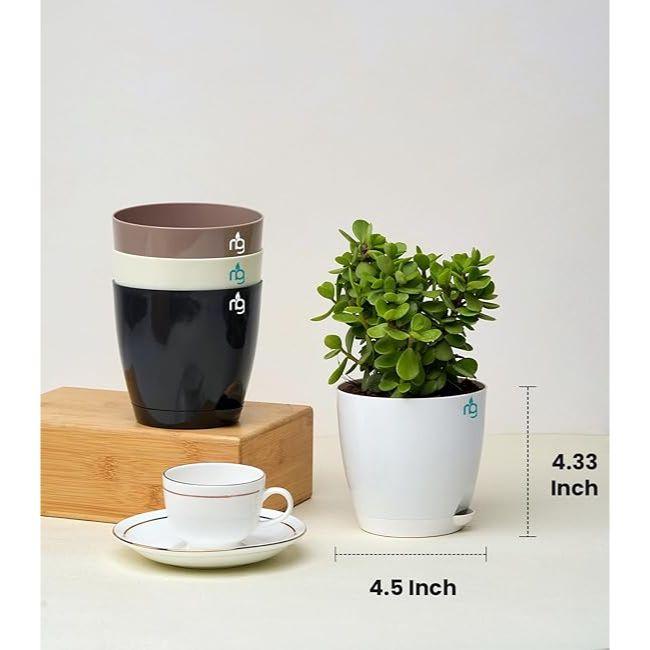 Combo of 8 Self Watering Flower Pots for Plants | Plastic Plant Pots | Planter Pots for Home, Room,Garden