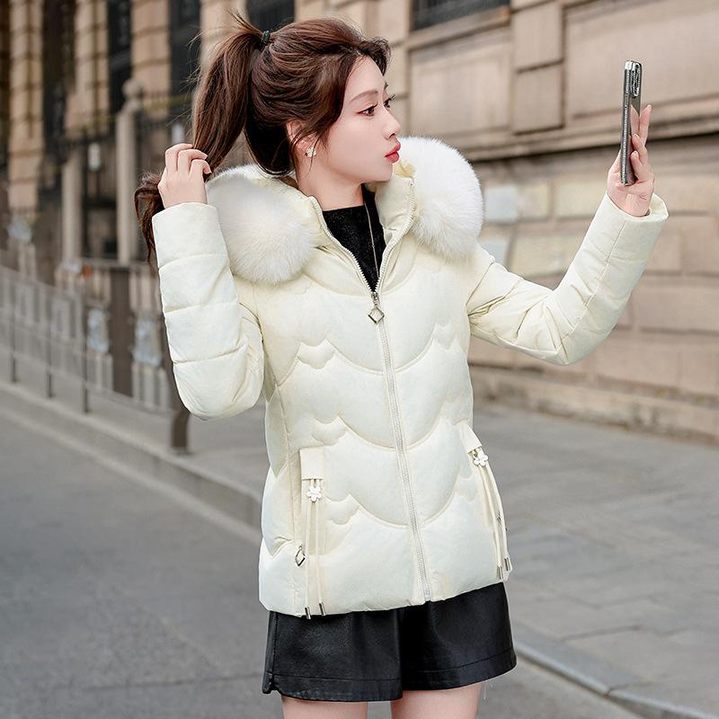 Damen Kurze Kapuzen-Winddichte Dicke Warme Winterjacke mit Großem Fellkragen