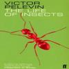 La Vie des Insectes par Victor Pelevine Livre de poche 9780571194056