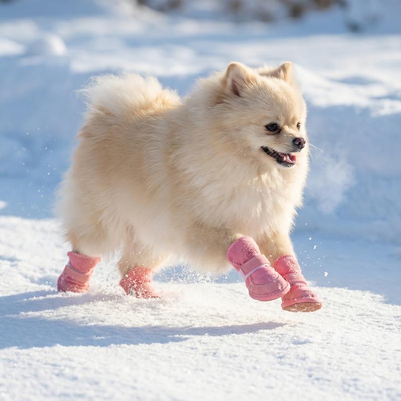 1Set Velvet Daily Pet Snow Boots Multiple Sizes Comfortable Anti Slip Durable Taking Photos Pet Socks Protecting Soft Outdoor